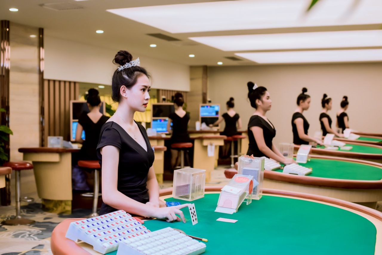 案例展示六